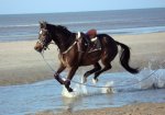Zandor (v. RHODIUM)