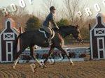 Hunter Prospect