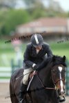 Hunter Prospect