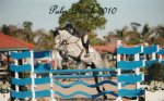 Extra springpaard