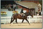 ALLEGRO (v. RHODIUM)