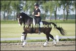 BURON (v. JOHNSON)