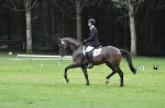 Hollandsche Anthony (v. RHODIUM )