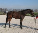 Lovely HUNTER prospect