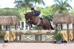 References: Hunter prospect, sold as a 6 yo to the USA.