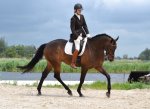 "LEGEND" (v. LAURIES CRUSADOR)