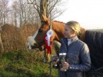 Maxime & TINKA'S GIRL Reserve kampioen Noord Holland 2012 (Bdress).